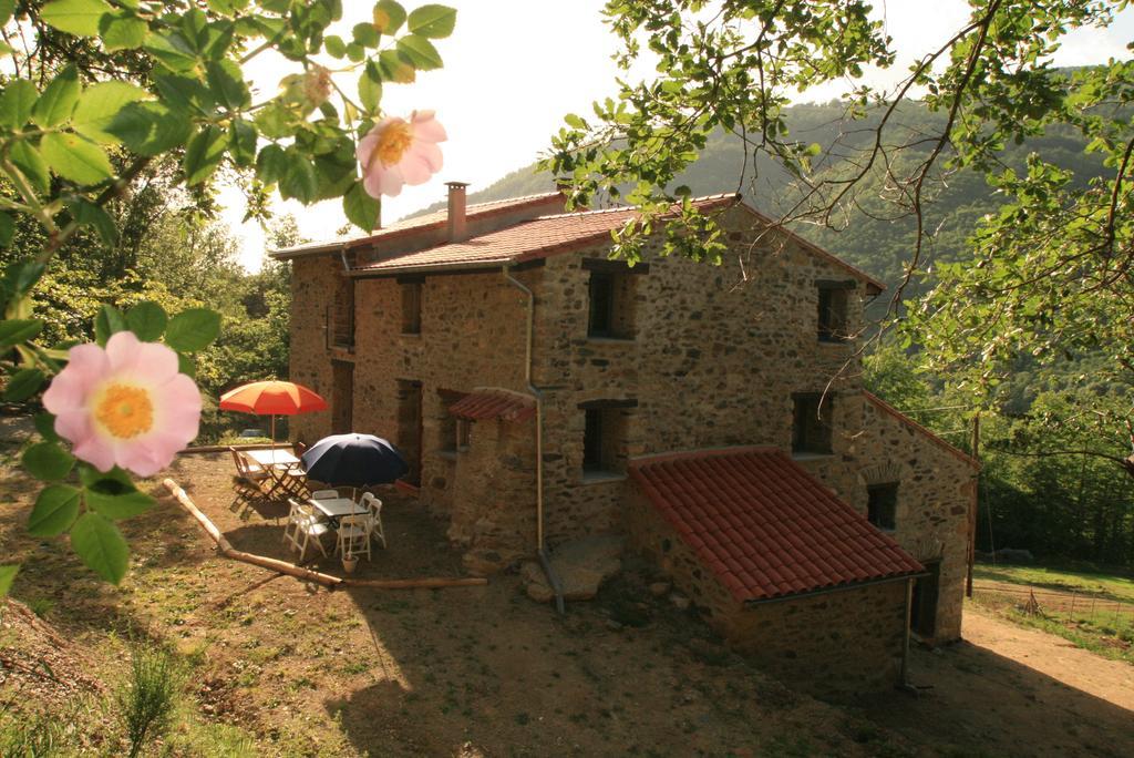 Chambres D'Hotes Mas La Tardosse 프랏드몰로라프레스테 객실 사진