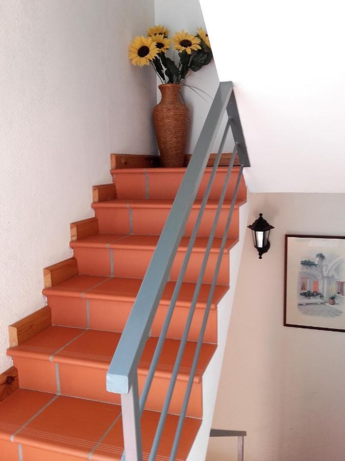 Chambres D'Hotes Mas La Tardosse 프랏드몰로라프레스테 외부 사진